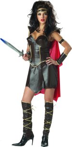 Unbranded Fancy Dress - Adult Warrior Queen Costume