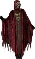 Unbranded Fancy Dress - Adult Witch Lord Brom Costume