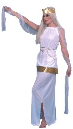 Costume includes sleeveless top with sheer drapes, skirt, headpiece and waist tie. Available in two 