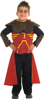 Unbranded Fancy Dress - Child Deluxe Quidditch Robe