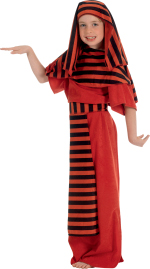 Unbranded Fancy Dress - Child Rameses / Isis Egyptian Costume RED