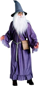 Unbranded Fancy Dress - Lord of the Rings Gandalf Adult Costume