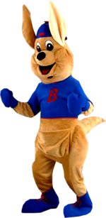 Unbranded Fancy Dress - Luxury Boxing Kangeroo Mascot Costume