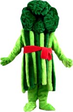 Unbranded Fancy Dress - Luxury Broccoli Mascot Costume