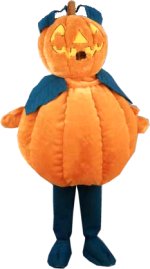 Unbranded Fancy Dress - Luxury Pumpkin Mascot Costume