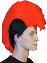 Unbranded Fancy Dress - Mohican (Red)