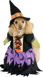 Unbranded Fancy Dress - Pet Bewitched Costume Extra Large