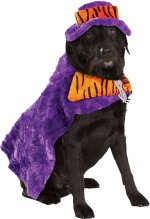 Purple cape with orange accents and hat.