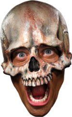 Unbranded Fancy Dress - Sunken Skull Half Cap Mask