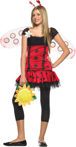 The Teen 3 Piece Daisy Bug Costume includes a dress with daisy applique, headpiece and wings.