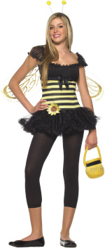 The Teen 3 Piece Sunflower Bee Costume includes a dress with flower applique, headpiece and wings.