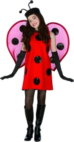 Novelty Ladybird costume.