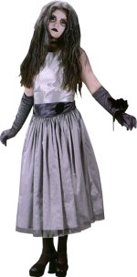 Unbranded Fancy Dress - Teen Prom Zombie Halloween Costume