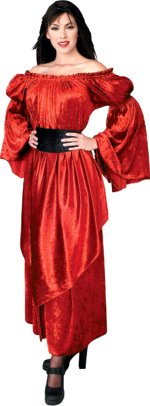 Unbranded Fancy Dress - Velvet Pirate Princess Costume