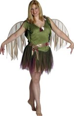 Unbranded Fancy Dress Costumes - Adult Foliage Fairy (FC)