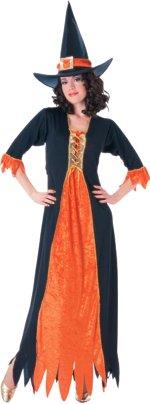Unbranded Fancy Dress Costumes - Adult Gothic Witch