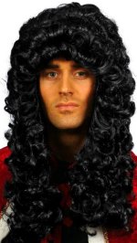 Adult King Charles curly wig in black.