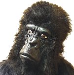 Unbranded Fancy Dress Costumes - Adult Large Gorilla Mask With Hair