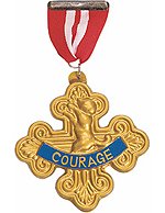 Fancy Dress Costumes - Badge of Courage