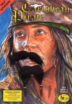 Unbranded Fancy Dress Costumes - Caribbean Buccaneer Beard and Tache