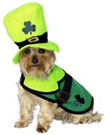 Unbranded Fancy Dress Costumes - St. Paddy Dog