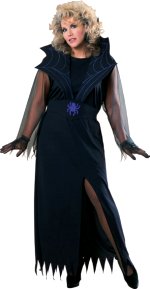Fancy Dress Costumes - Widowand#39;s Web (FC)