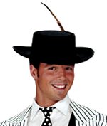 Half Price Sale: Discontinued Line. All stocks must go! Deluxe wide brim stylish hat with feather.