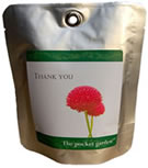 Say thank you with a lasting gesture. Send you loved one a Pocket Garden. Choose from Giant Daisy or