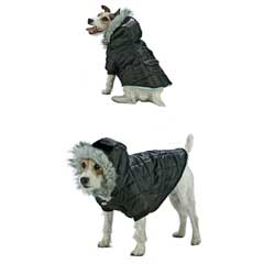 Beat the cold spells this winter and make sure your best friend is wrapped up well too! This fabulou