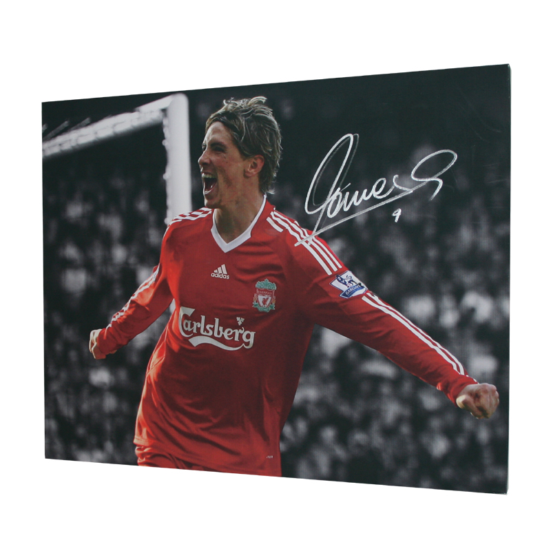 Unbranded Fernando Torres Signed Liverpool Canvas