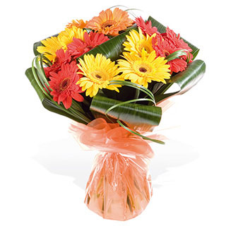 A continental grouped handtied bouquet of stunning vibrant Gerbera set apart with dark lush foliage.