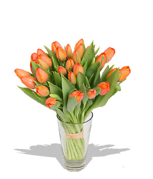 Unbranded Finest Bouquets - 30 Orange Tulips