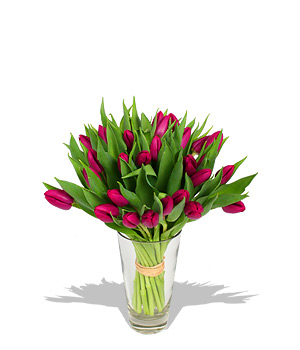 Unbranded Finest Bouquets - 30 Purple Tulips