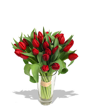 Unbranded Finest Bouquets - 30 Red Tulips