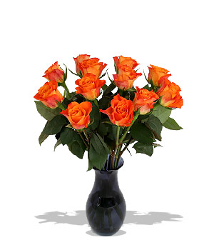 Unbranded Finest Bouquets - A dozen orange roses giftwrap