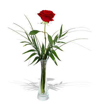 Unbranded Finest Bouquets - A Red Rose in a Vase