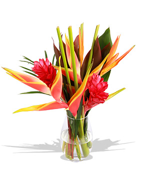 Unbranded Finest Bouquets - Amazonia