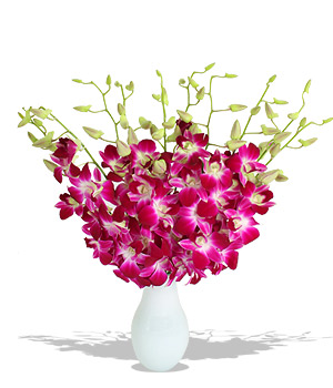 Unbranded Finest Bouquets - Bali Hai