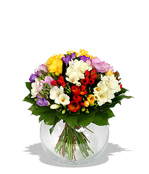 Unbranded Finest Bouquets - Freesia Bouquet
