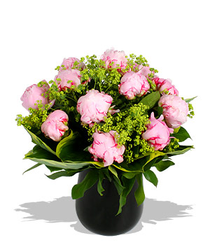 Unbranded Finest Bouquets - Peony Pleasure
