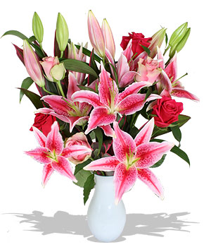 Unbranded Finest Bouquets - Pink Hugs - c