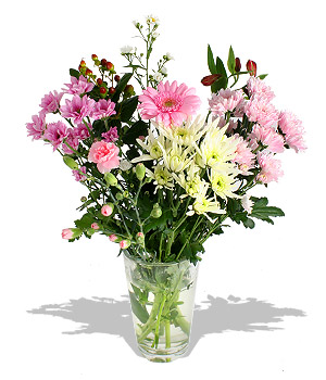 Unbranded Finest Bouquets - Pink Puppy