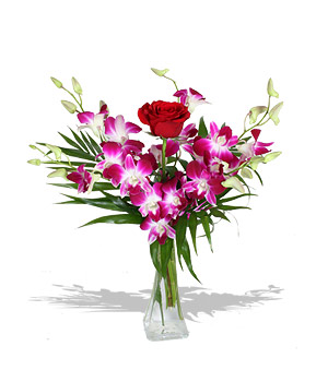 Unbranded Finest Bouquets - Velvet Crush