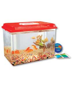 Fish Starter Set