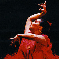 Flamenco Show and Dinner - Adult
