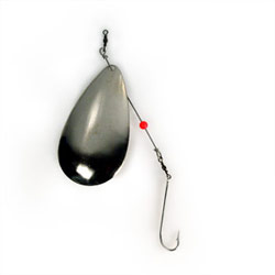 Nickel plated flounder spoon for flatfish  rigged with flattie hook and beads.  Nickel Plated (70mm 