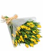 Flowers - 50 Yellow Tulips