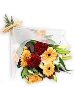 Flowers - Bellini Bliss Gift Wrap