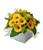 Flowers - Cubed Yellow Gerberas