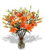 Flowers - Orange Lilies